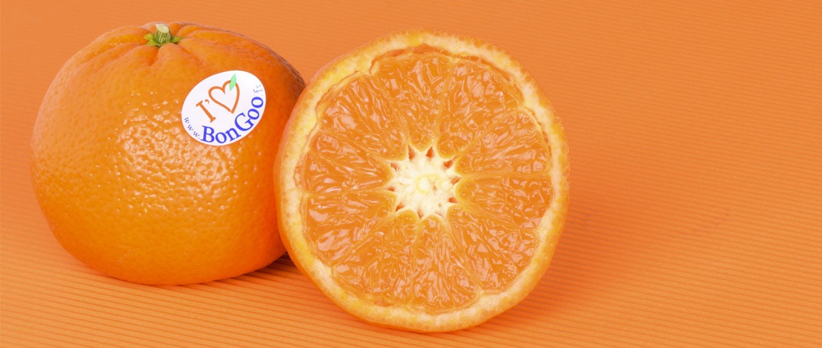 Photo d'une mandarine seedless et easypeeling nadorcott