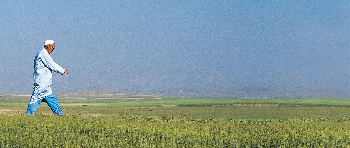 Photo d'un agriculteur marocain dans son champ